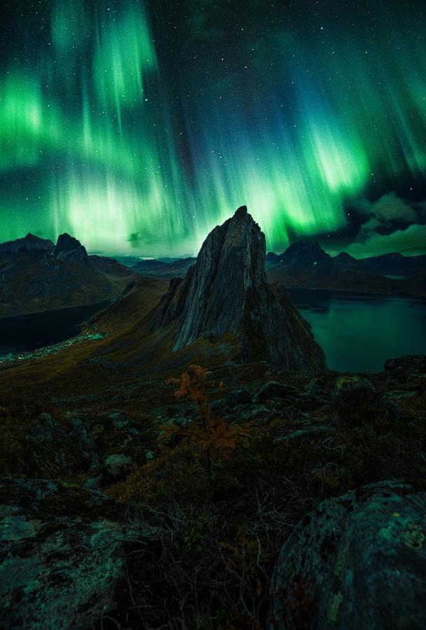 Polar Panorama Lodge Fjordgard Екстериор снимка